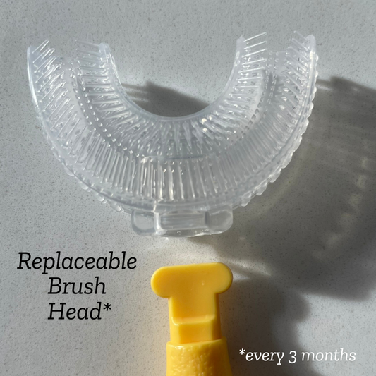 The Essential - SMALL (0-6yrs)