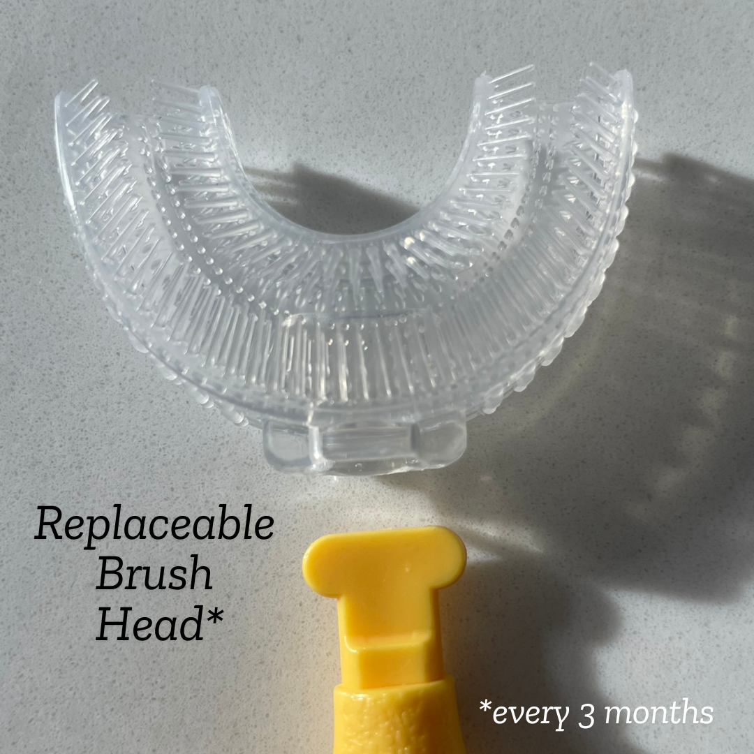 Cool Blue Essential Set - Small (Brush & Replacement heads)